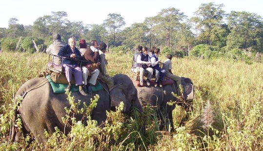 jaldapara national park tour, dooars tour package